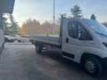 Fiat Ducato CASSONE 4,20 MAXI 35 XLH1 2.3 Mjet 180CV E6D-temp Bianco - thumbnail 5
