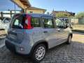 Fiat Panda 1.0 firefly s&s 70cv.   10 000 KM Grau - thumbnail 4