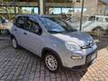 Fiat Panda 1.0 firefly s&s 70cv.   10 000 KM Grau - thumbnail 1
