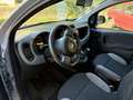 Fiat Panda 1.0 firefly s&s 70cv.   10 000 KM Grau - thumbnail 6