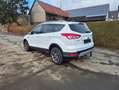 Ford Kuga Titanium-Getriebe neu!! Weiß - thumbnail 7