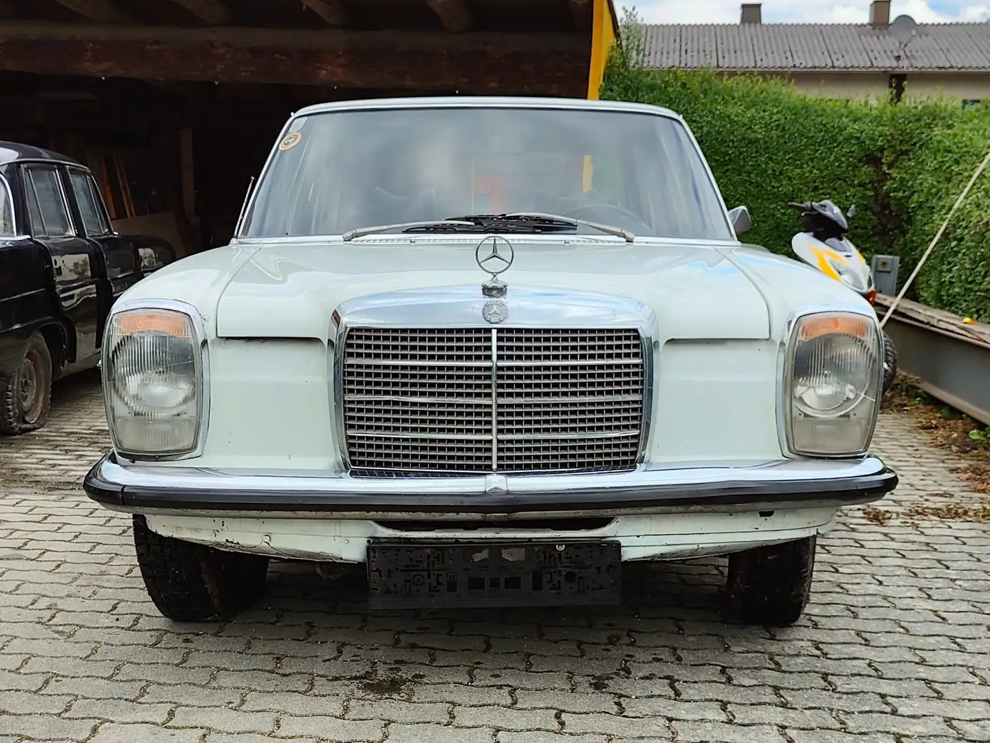 Oldtimer Mercedes Benz 220D/8 Strich 8 Weiß - 2