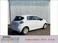 Renault ZOE (ohne Batterie) 41 kwh Life *EPH Tempomat LED Navi Weiß - thumbnail 3