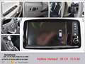 Renault ZOE (ohne Batterie) 41 kwh Life *EPH Tempomat LED Navi Weiß - thumbnail 13