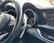 Alfa Romeo Stelvio 2.2 t Business Q4 190cv auto Negro - thumbnail 19