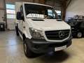 Mercedes-Benz Sprinter 316 CDI Doka 4x4 Allrad Plane Weiß - thumbnail 3