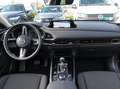 Mazda CX-30 2.0 E-SKYACTIV-G 90KW EVOLUTION 2WD A 122 5P Negro - thumbnail 8