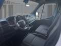Renault Master Kastern dCi 135 L2H2 Weiß - thumbnail 8