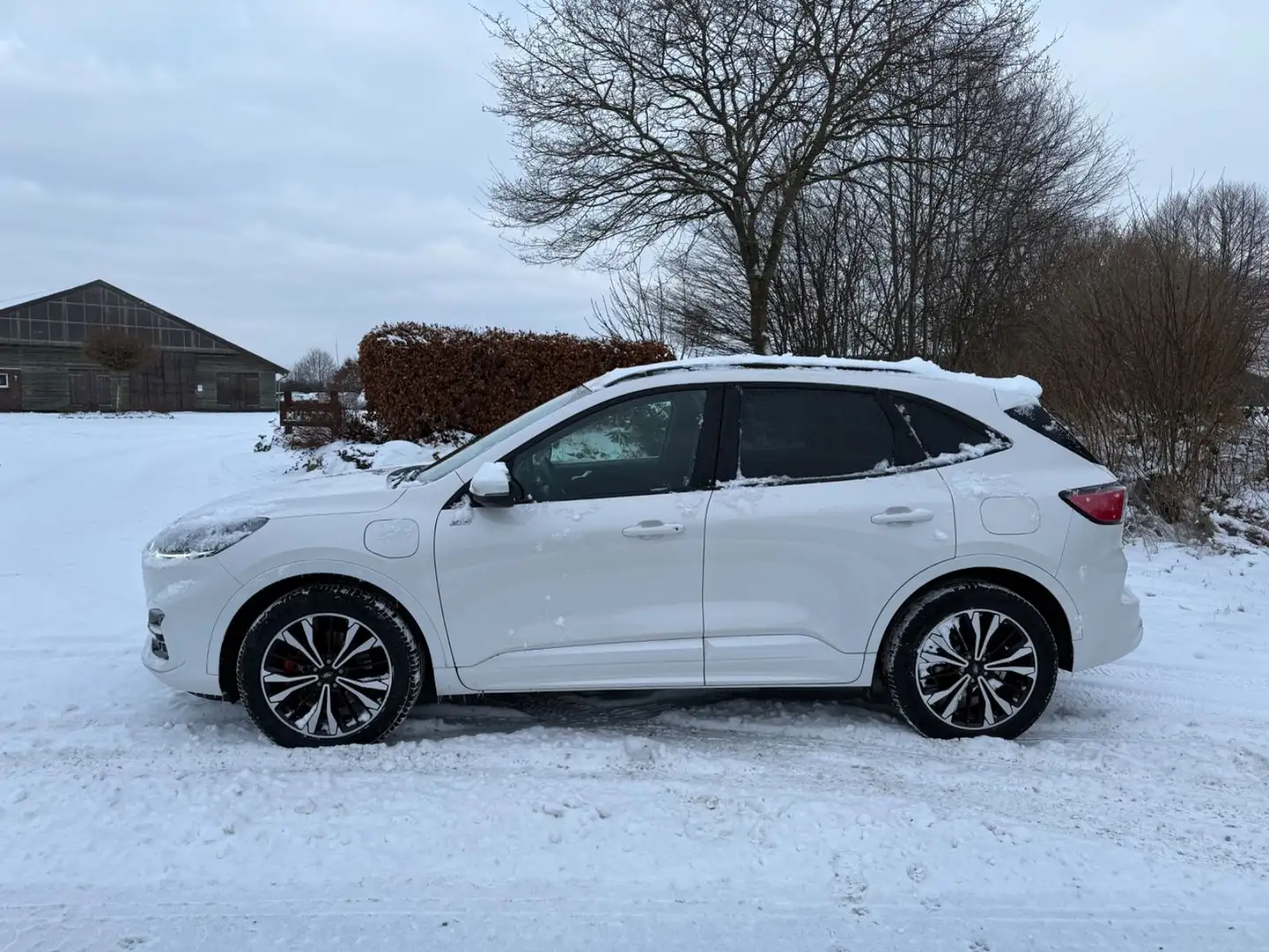 Ford Kuga Plug-In Hybrid ST-Line X AHK Leder Automati Weiß - 2