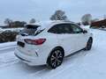 Ford Kuga Plug-In Hybrid ST-Line X AHK Leder Automati Weiß - thumbnail 5
