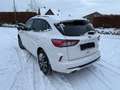 Ford Kuga Plug-In Hybrid ST-Line X AHK Leder Automati Weiß - thumbnail 3