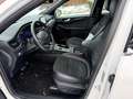 Ford Kuga Plug-In Hybrid ST-Line X AHK Leder Automati Weiß - thumbnail 12