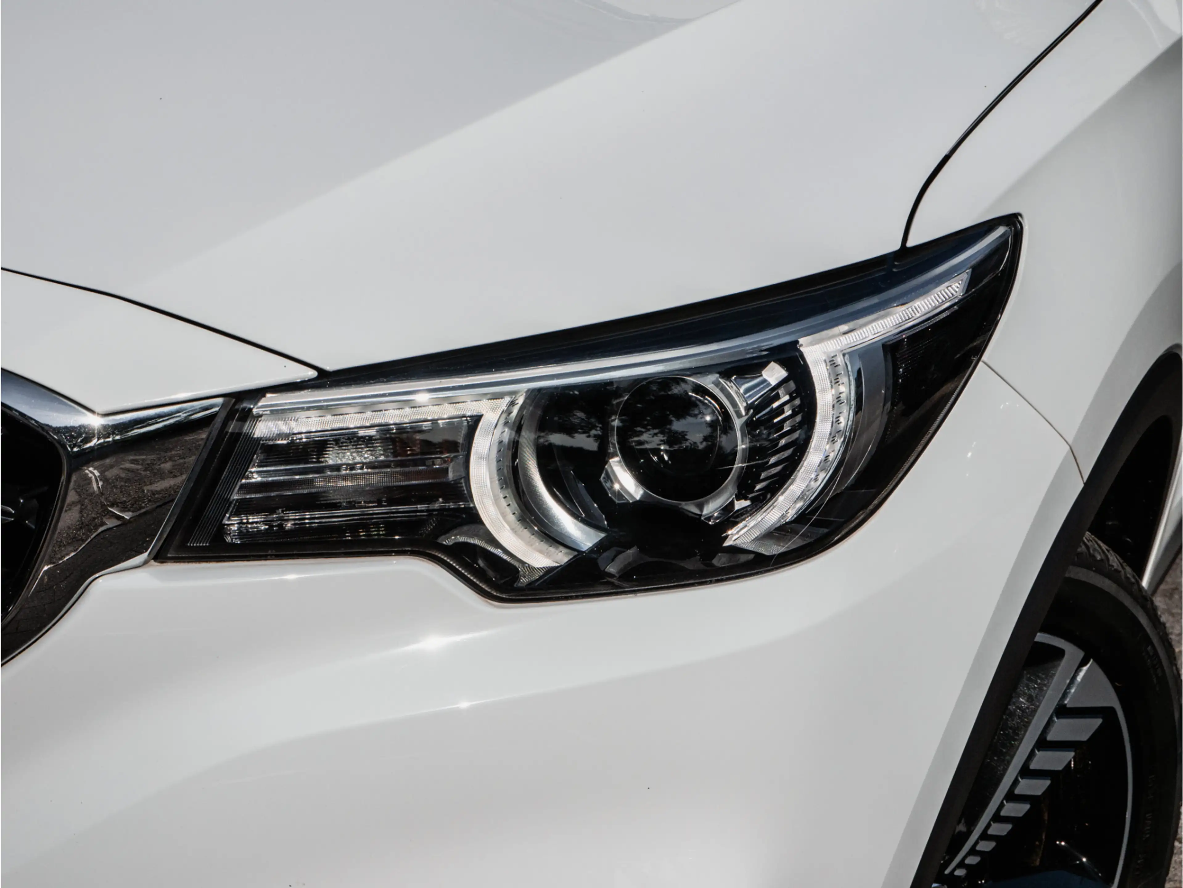 MG ZS EV Luxury 45 kWh SOH 87% Camera/ Elek. panoramadak — photo 31