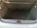 Renault Clio TCe 90 Evolution [Keyless/Sitzheizung/Kamera/LED] Grau - thumbnail 36