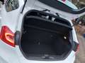 Ford Fiesta 1.0 EcoBoost 95pk Active X | Origineel NL | Navi + Wit - thumbnail 37