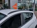 Ford Fiesta 1.0 EcoBoost 95pk Active X | Origineel NL | Navi + Wit - thumbnail 42