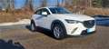 Mazda CX-3 G120 Challenge Weiß - thumbnail 3