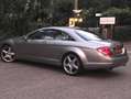 Mercedes-Benz CL 500 CL 500 siva - thumbnail 1