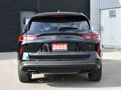 Infiniti QX50 2025