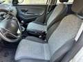 Lancia Ypsilon 1.2 Gold ecochic Gpl 69cv my16 - thumbnail 11