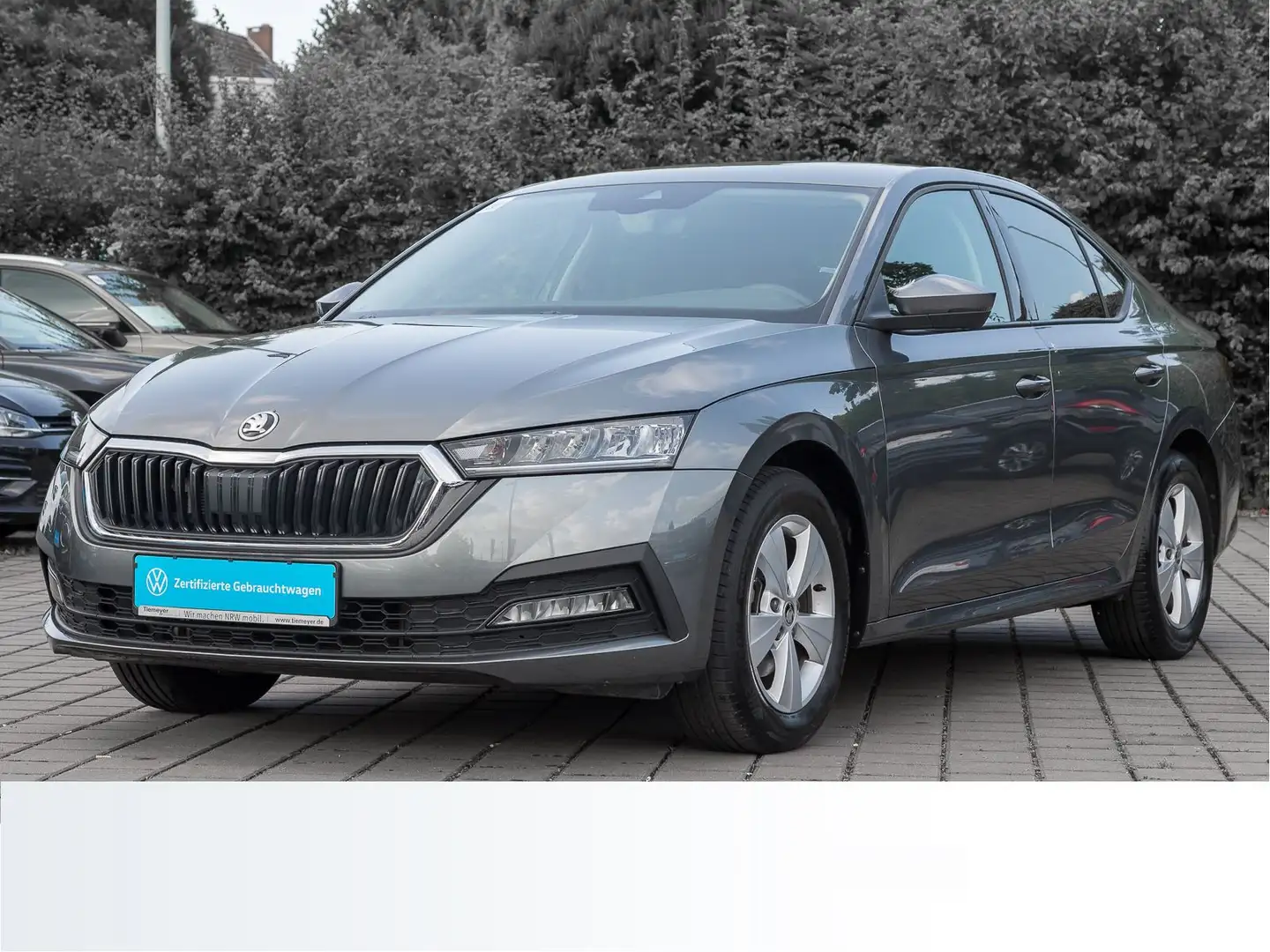 Skoda Octavia 1.5 TSI DSG 150PS SELECTION LM16 KAMERA Grau - 2