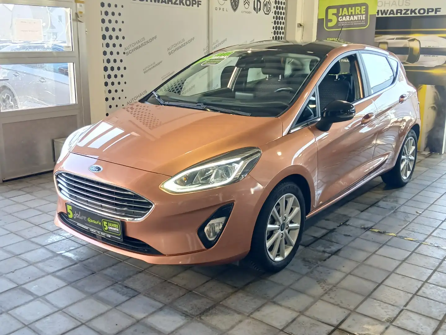 Ford Fiesta 1.0 EcoBoost Parkpilot,Sitzheizung Braun - 2