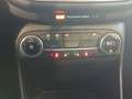 Ford Fiesta 1.0 EcoBoost Parkpilot,Sitzheizung Braun - thumbnail 16