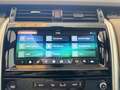 Land Rover Discovery 3.0 TD6 249 CV HSE //7 POSTI//22// Marrone - thumbnail 13
