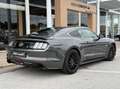 Ford Mustang PERFORMANCE VI FASTBACK 5.0 V8 GT 421 ch BV6 Grau - thumbnail 3