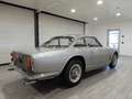 Maserati Biturbo 3500 G.T.I. SEBRING -1^SERIE – ASI C.R.S. (1963) Сірий - thumbnail 4