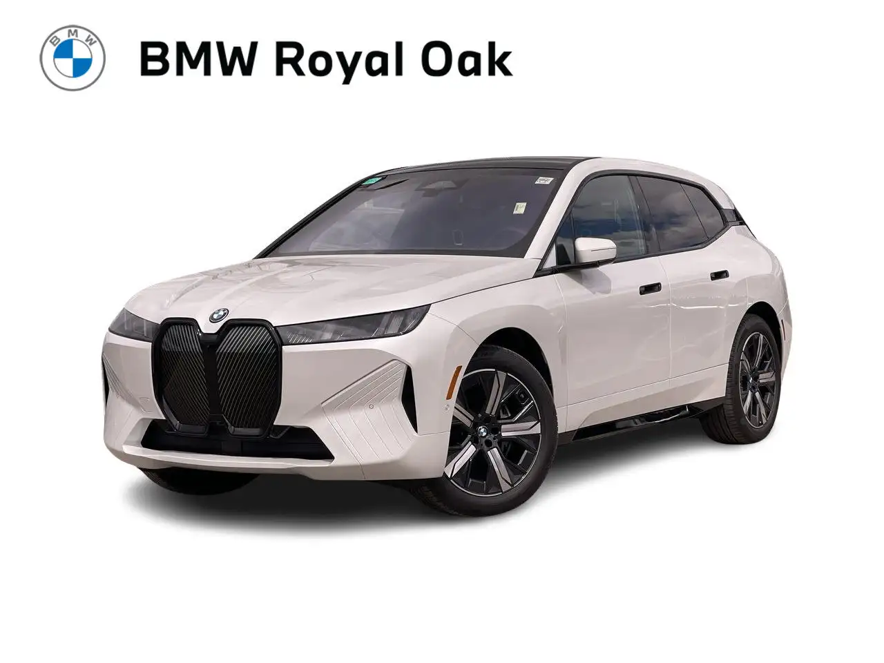 2026 BMW iX