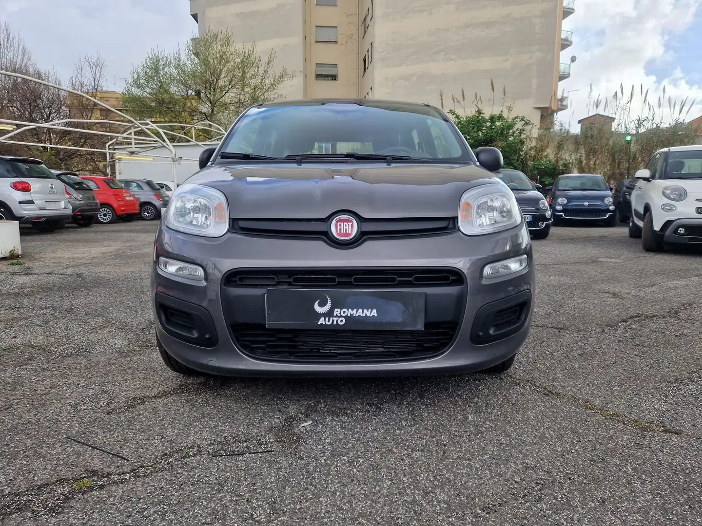 Fiat Panda Panda 1.0 firefly hybrid s Gris - 2
