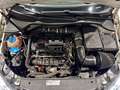 Volkswagen Golf 2.0 TSI 270cv DSG 4Motion R Wit - thumbnail 35
