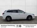 MG MG5 EV Luxury 61 kWh Maximal Range 5t. Weiß - thumbnail 4