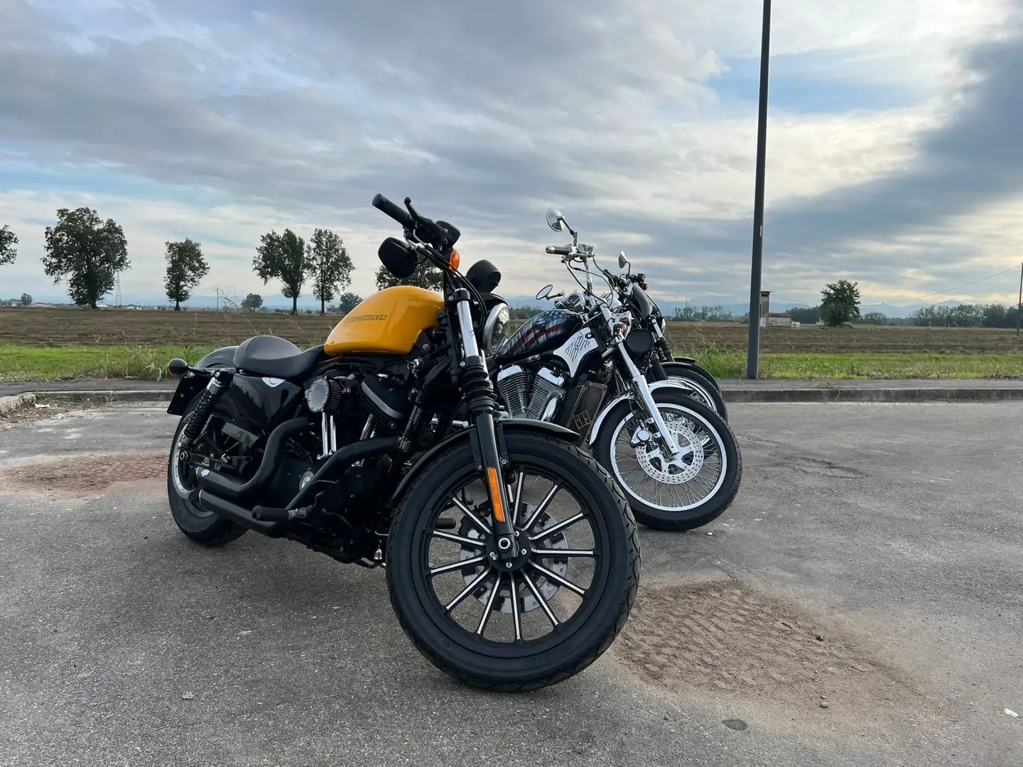 Harley-Davidson Sportster iron 883 Giallo - 1