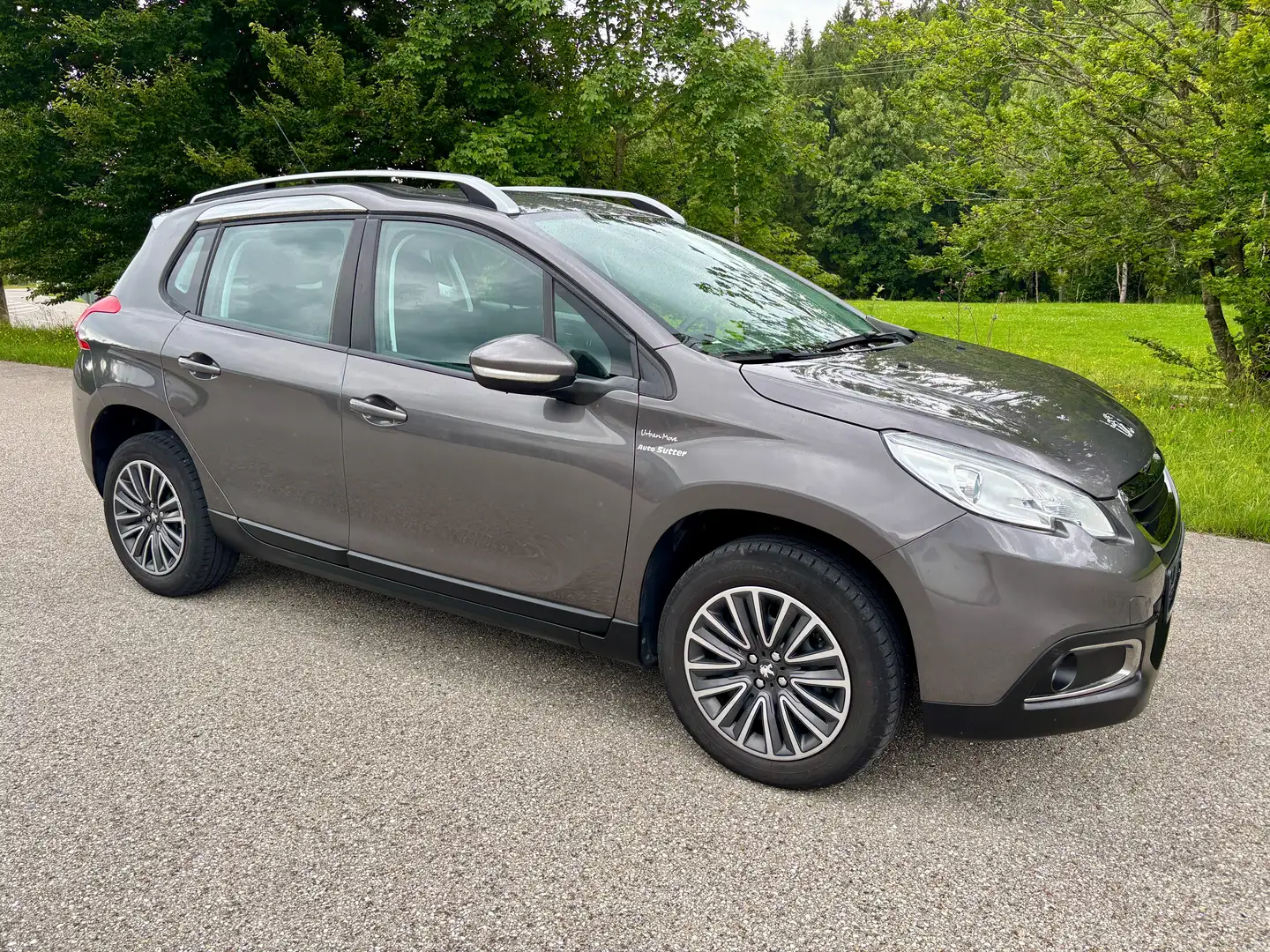 Peugeot 2008 Active Klima Standheizung PDC Tempomat - 2