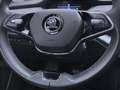 Skoda Enyaq iV 60 LOFT MATRIX KAMERA PDC NAVI SHZG Grau - thumbnail 11