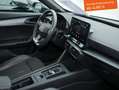 CUPRA Formentor 1.4 TSI e-Hybrid 6-Gang-DSG - R-Kamera/NAVI/ACC Gris - thumbnail 8