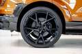 Audi RS Q8 Mansory MTM | 1001 pk | Full PPF Folie - thumbnail 19
