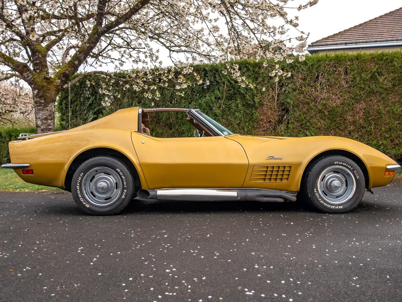 Chevrolet Corvette C3 T-Top, foto 8