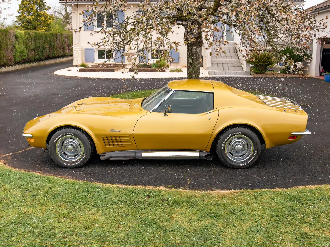 Chevrolet Corvette C3 T-Top, foto 6
