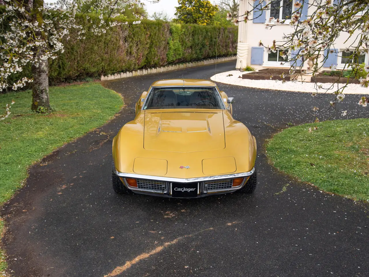 Chevrolet Corvette C3 T-Top, foto 5