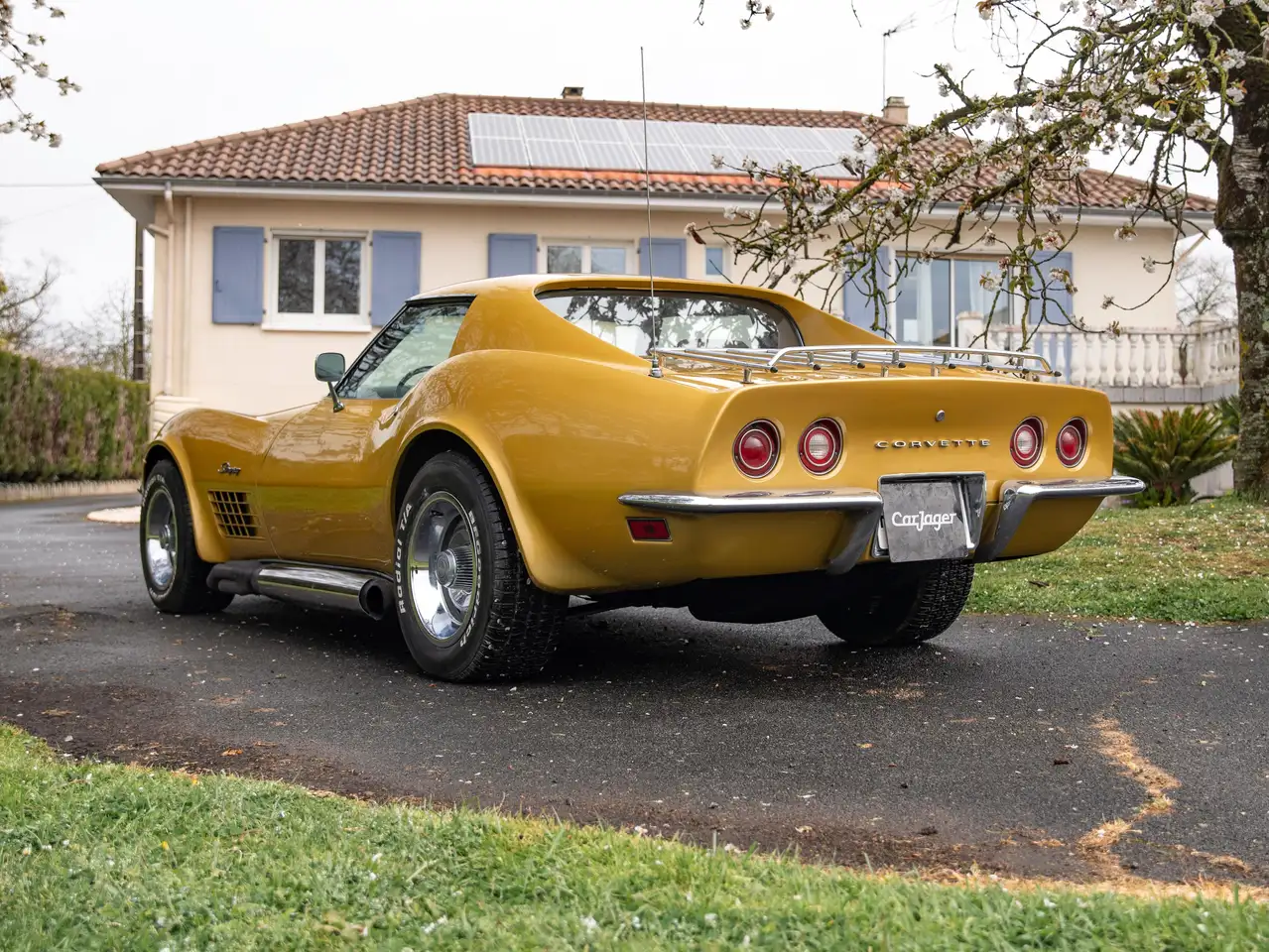 Chevrolet Corvette C3 T-Top, foto 2