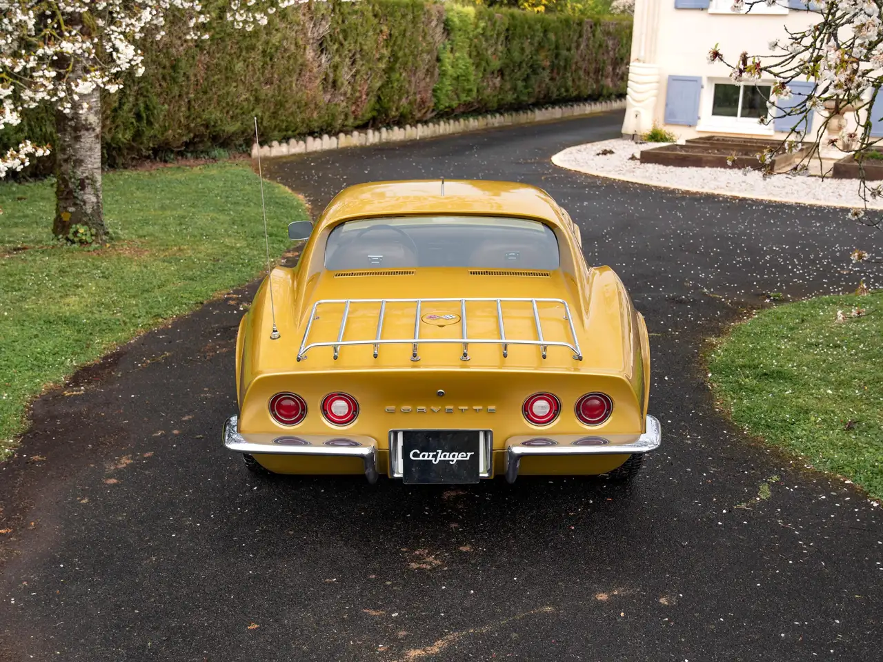 Chevrolet Corvette C3 T-Top, foto 7