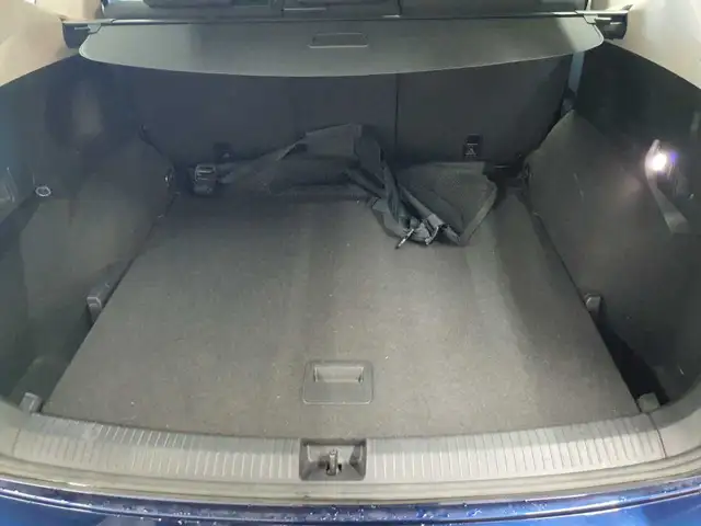 Volkswagen Tiguan view 15