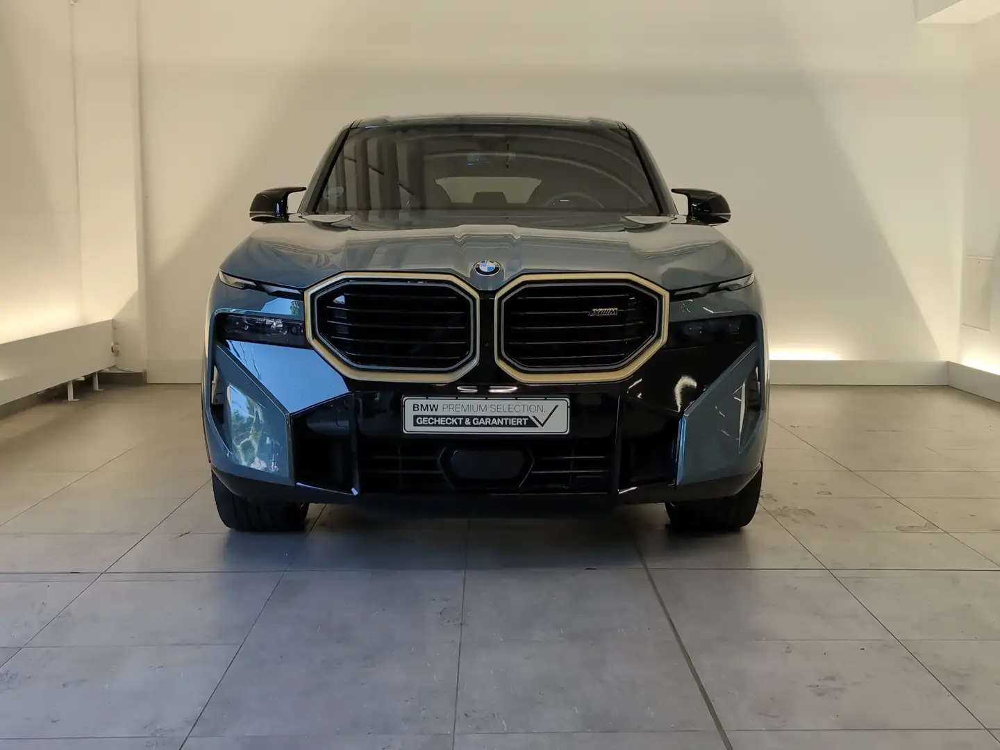 BMW XM H&K/AHK/Ambiente H&K/AHK/Ambiente Grün - 2