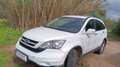 Honda CR-V CR-V 2,2i-DTEC Comfort DPF Aut. Comfort Weiß - thumbnail 2