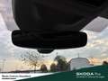 Skoda Superb COMBI L&K 2 0 TDI 142KW 7-GANG AUTOMAT. 4X4 Leder Gris - thumbnail 21