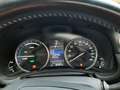 Lexus GS 300 300h AWD Sport Ed Gris - thumbnail 12