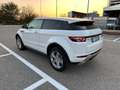 Land Rover Range Rover Evoque Range Rover Evoque 3p 2.0 si4 Dynamic auto Weiß - thumbnail 3